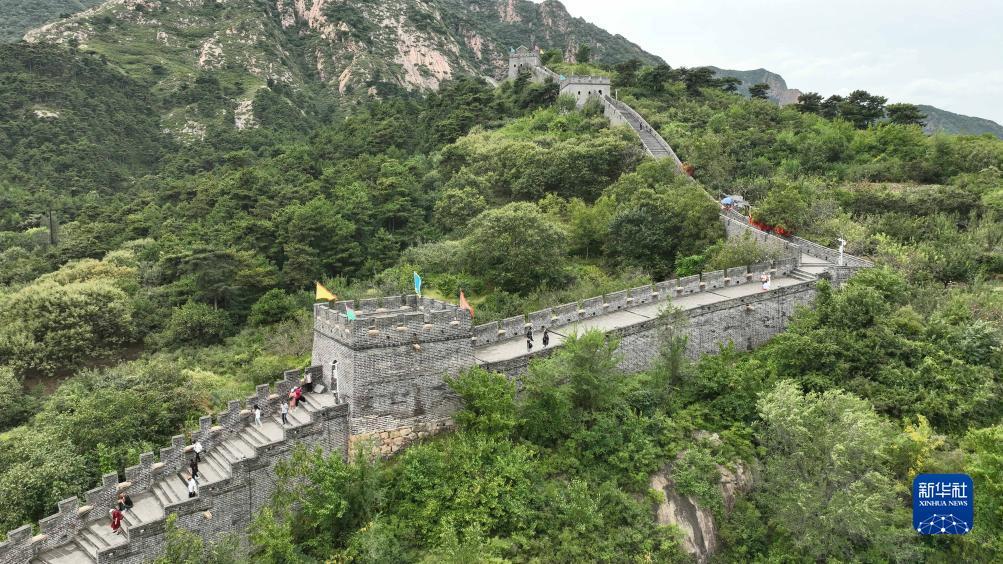 pt顶级138官网
