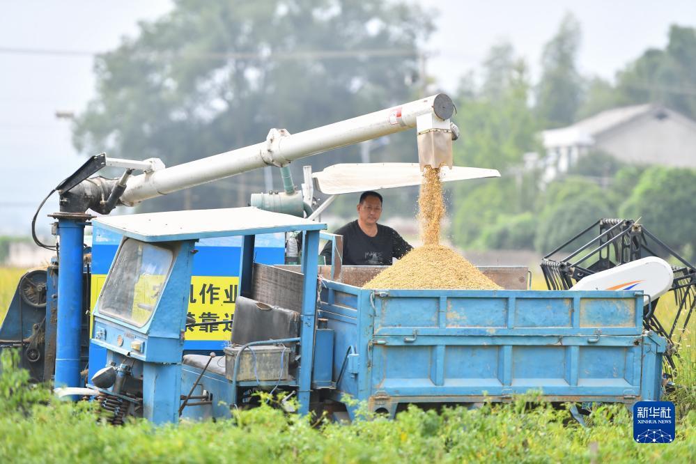 大发国际游戏登录入口